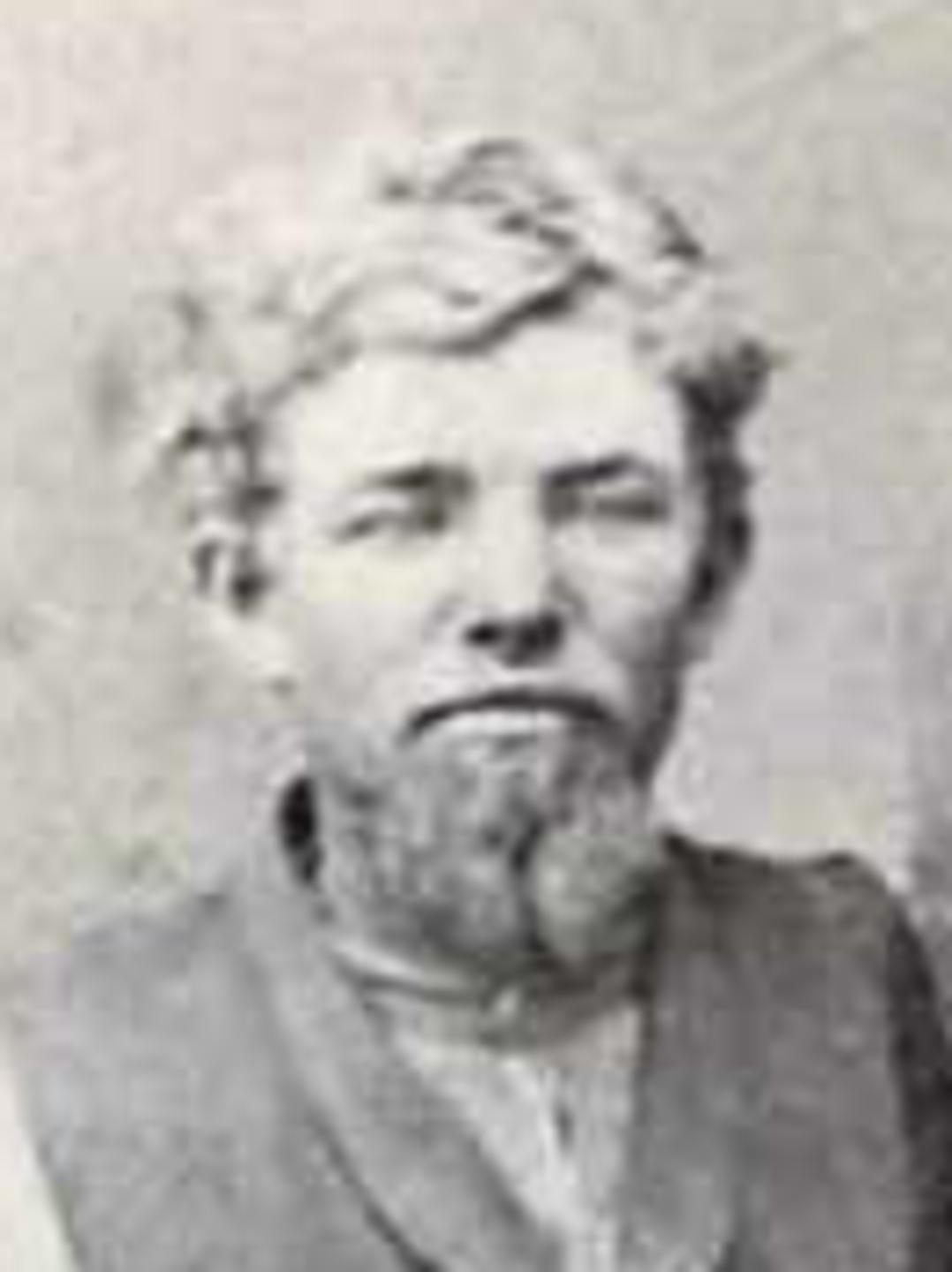 Joseph Smith Stone (1845 - 1907) Profile